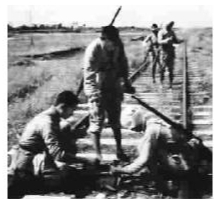 p3_b.jpg (214×199)